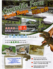 Crocodile World